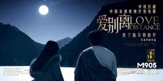 猫咪cfa证书芯片有什么用
